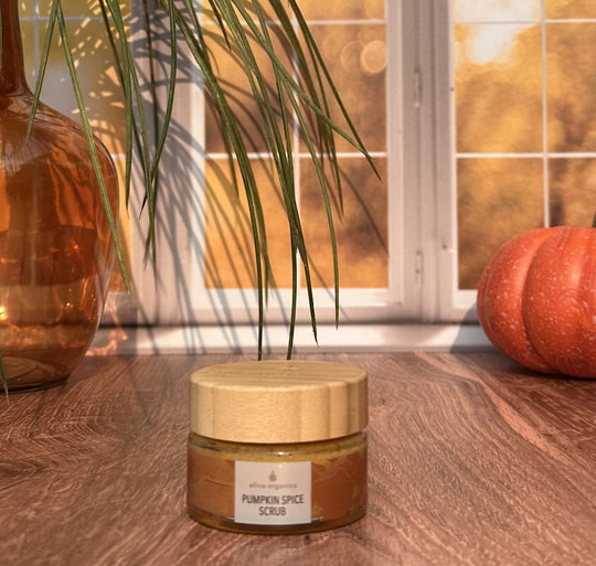 Elina Organics | Pumpkin Spice Scrub