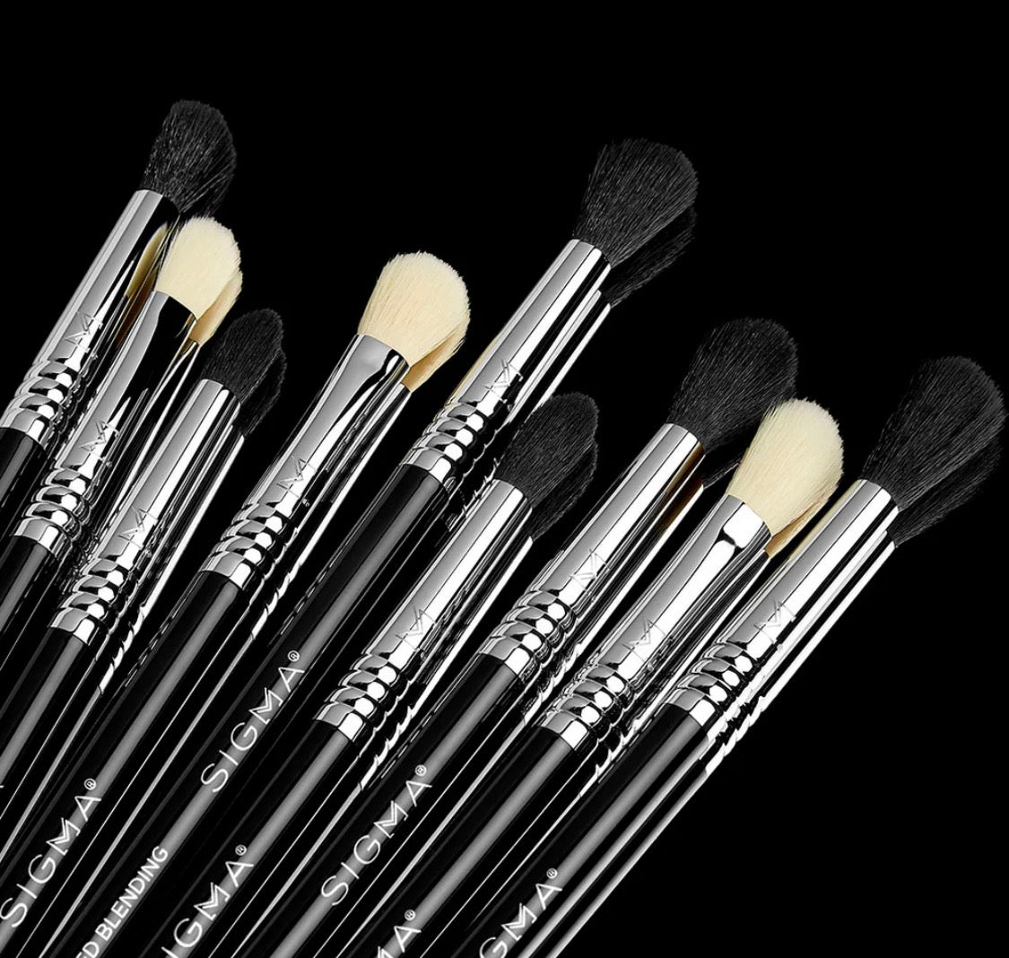 Sigma Beauty Makeup Brushes