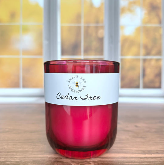 Beach Bees | Cozy Fall Scented Beeswax & Coconut Blend Candles