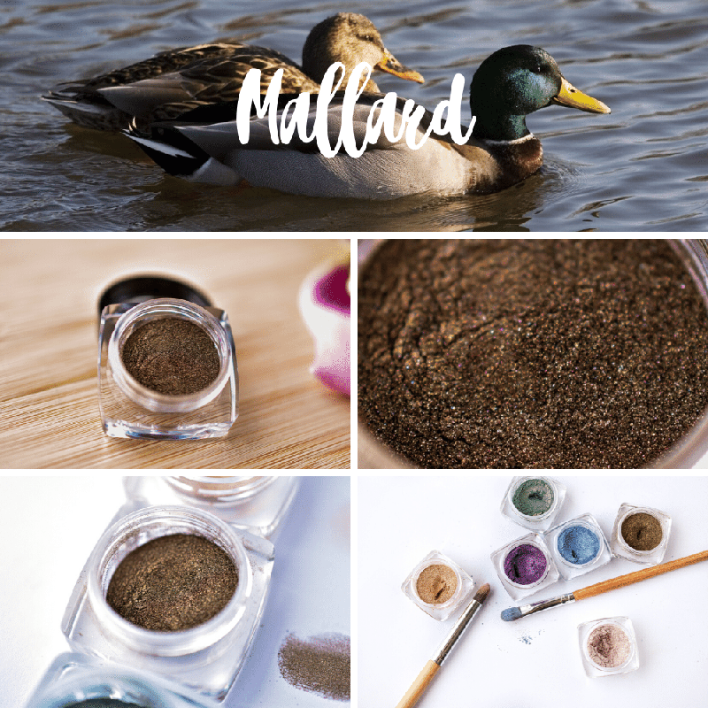 Northern Apothecary | Mineral Eyeshadow